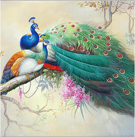 Peacock Love